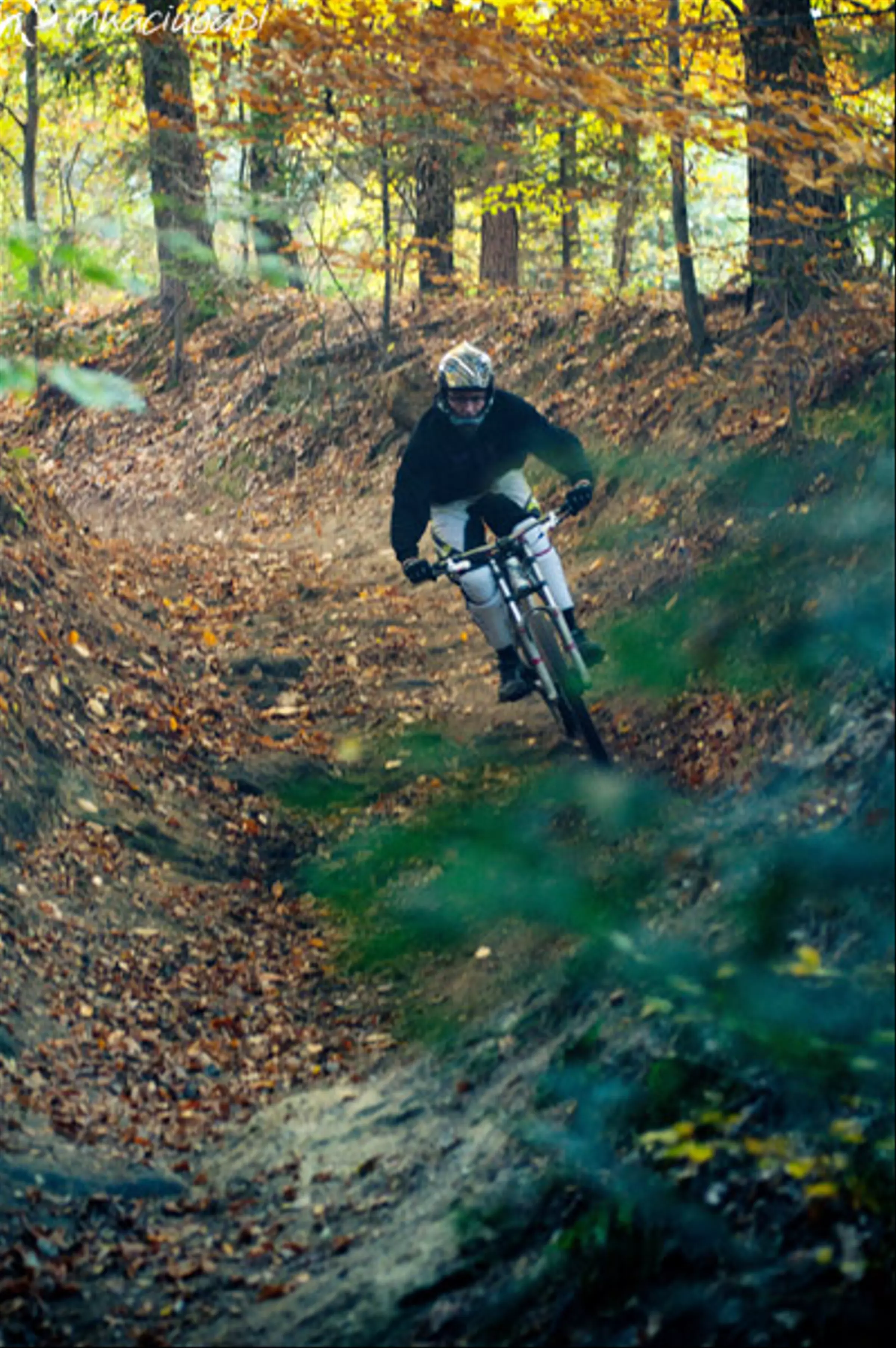 Downhill - zakończanie sezonu-DSC_5553-2.jpg