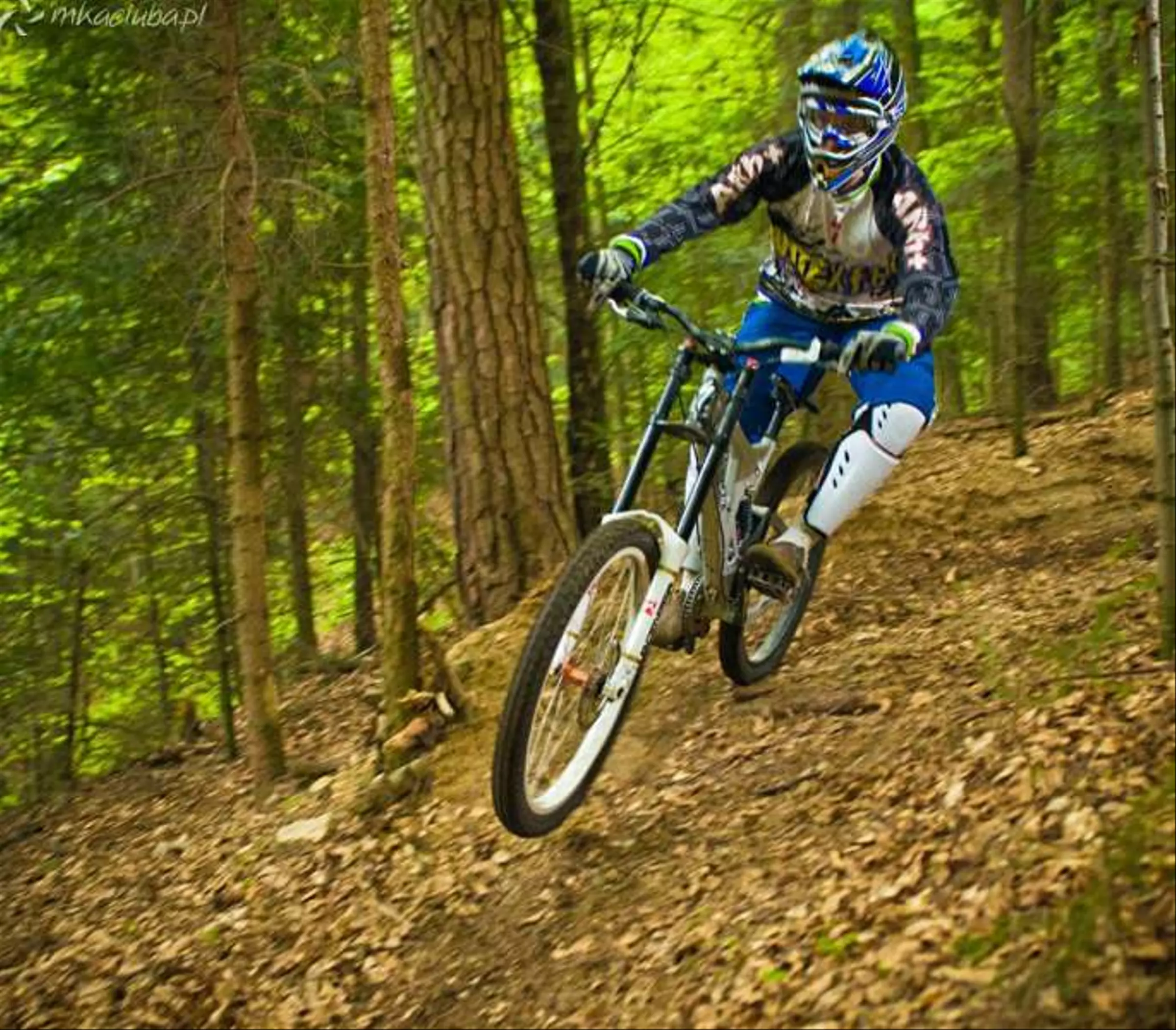 Downhill-DSC_7247-2.jpg