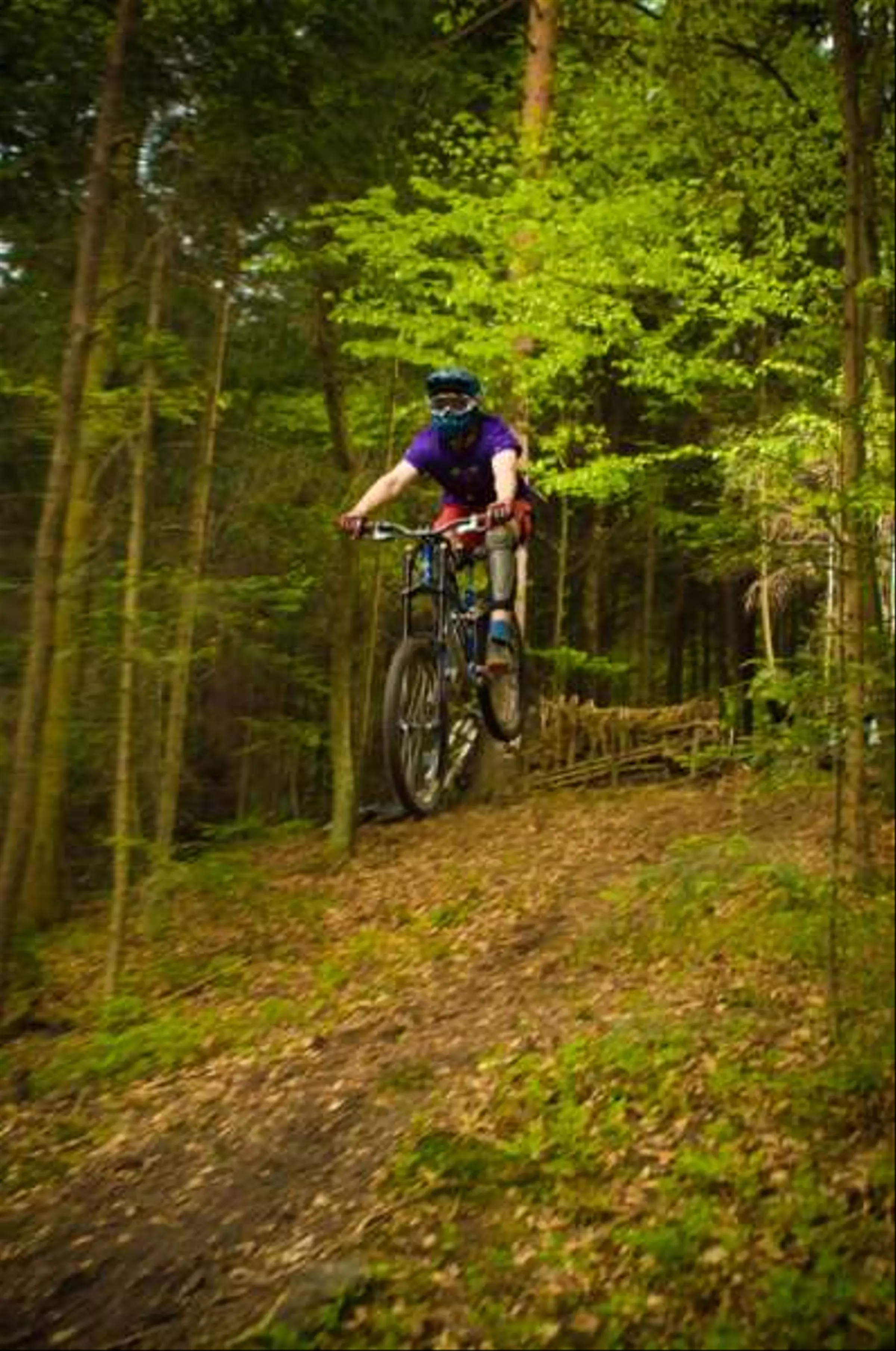 Downhill-DSC_7446.jpg