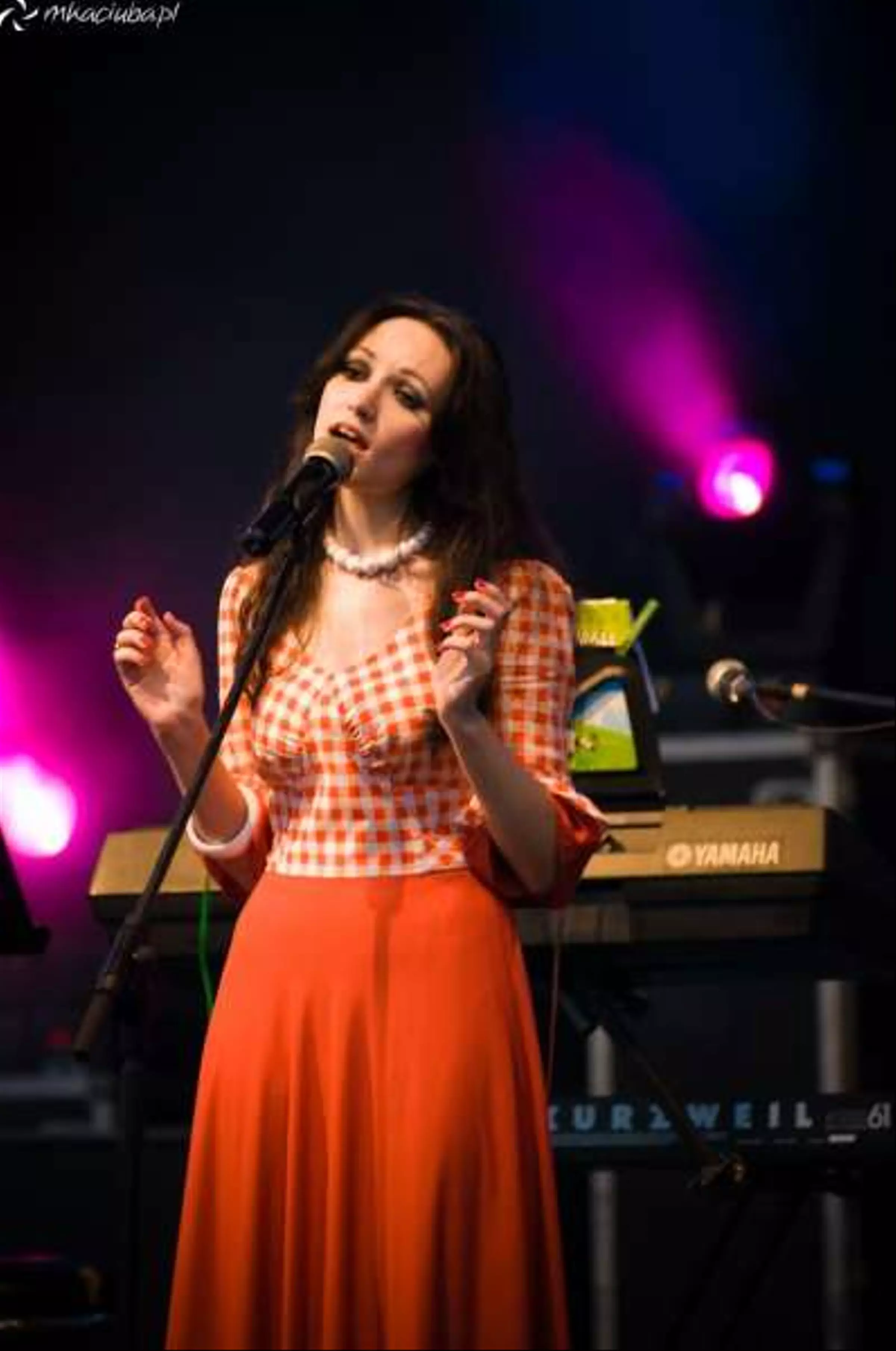 Dni Sułkowic dzień pierwszy-DSC_5288.jpg