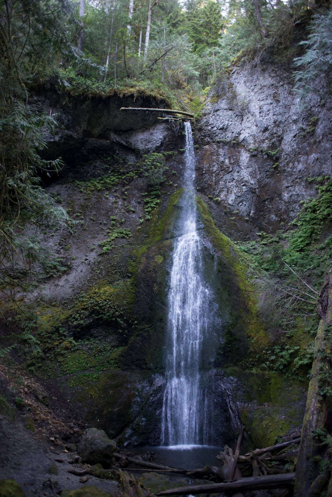 Marymere Falls - Olympic National Park