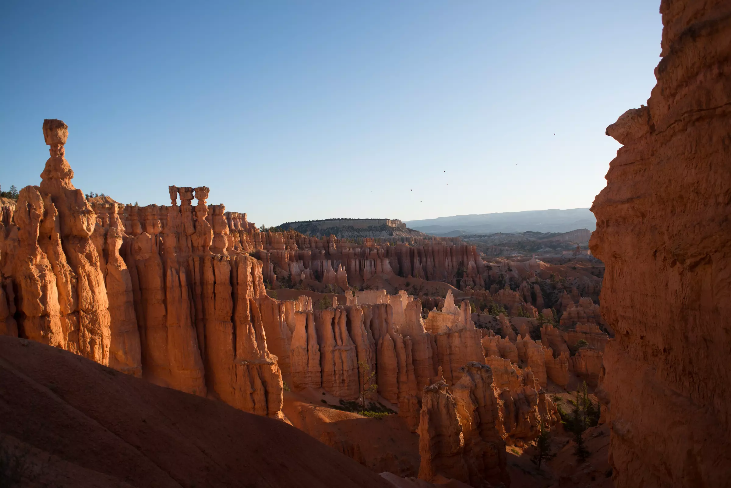 Bryce Canyon - wschód Słońca
