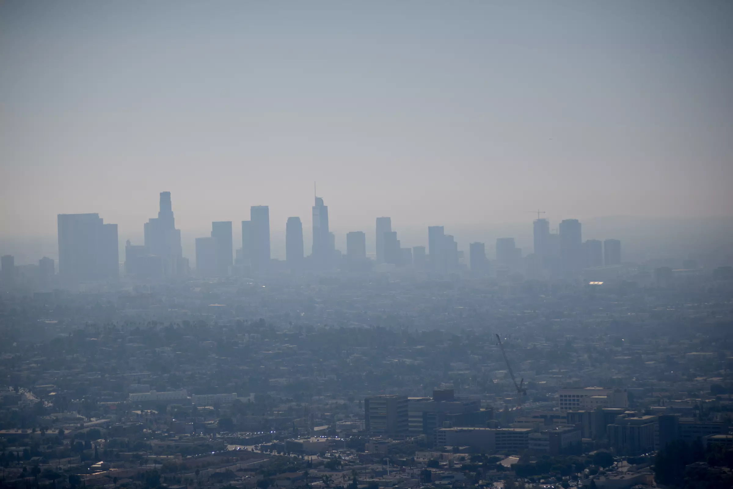 Los Angeles z Griffith Observatory