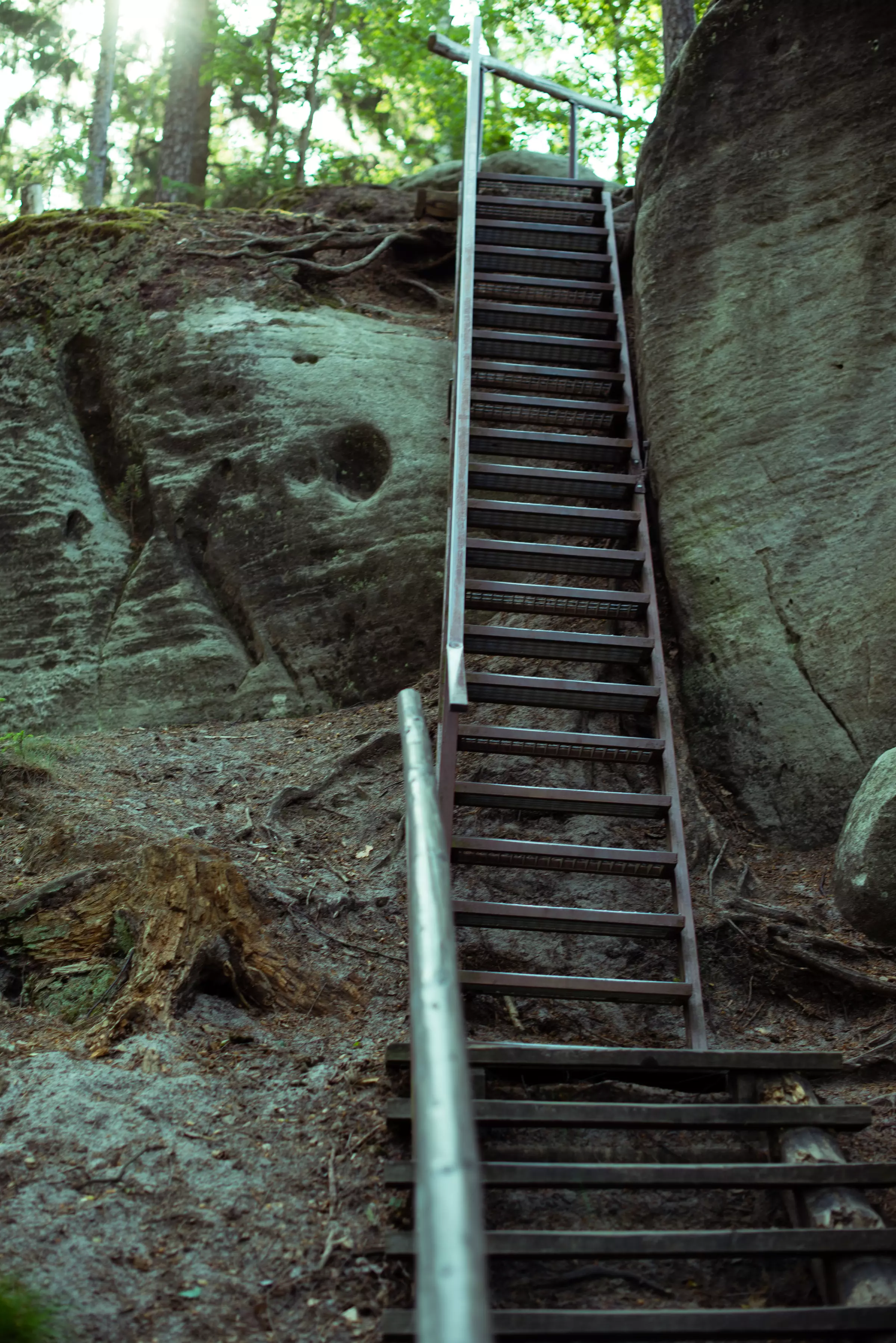 Bawaria i Czechy-Adrspach-9664