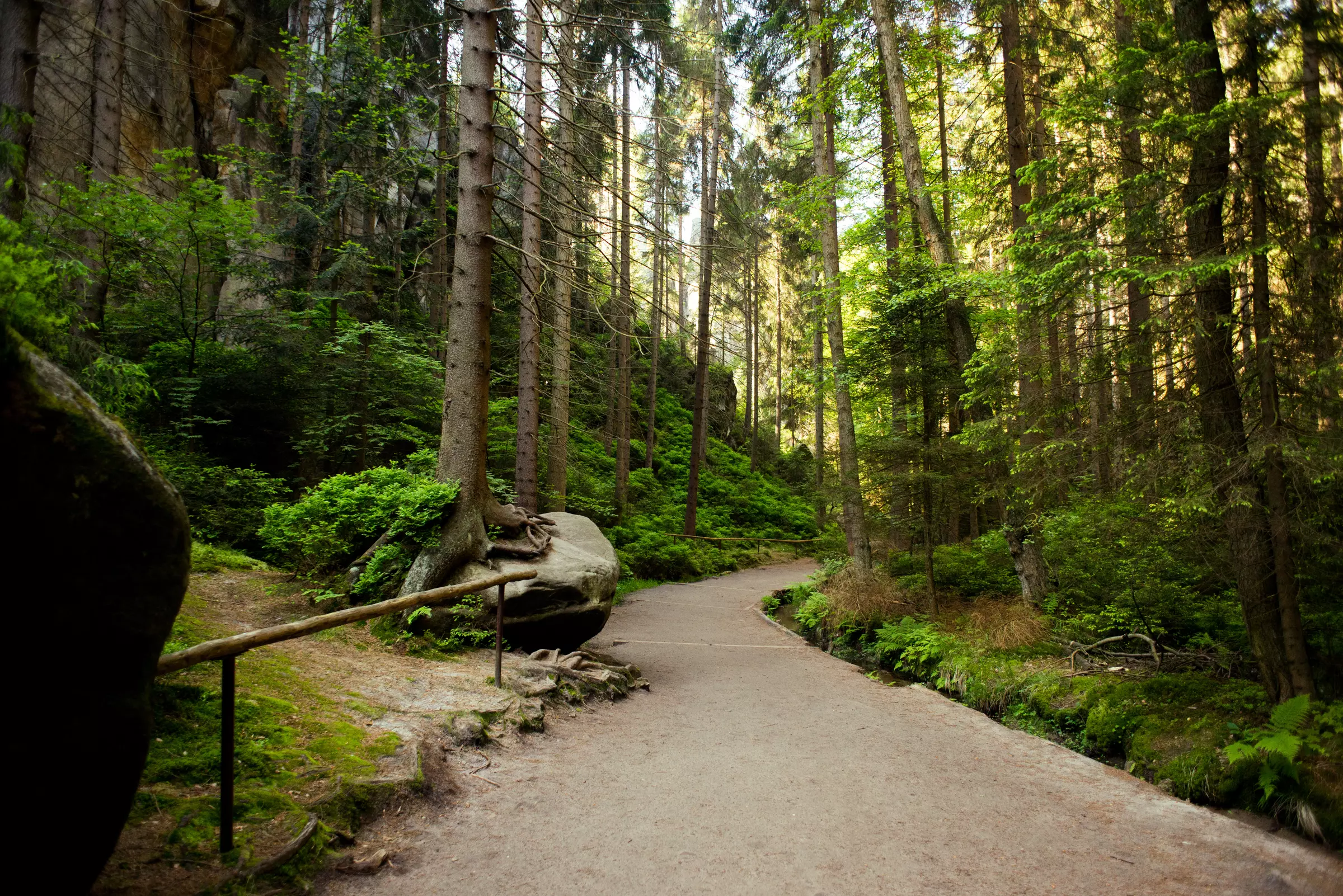 Bawaria i Czechy-Adrspach-9846