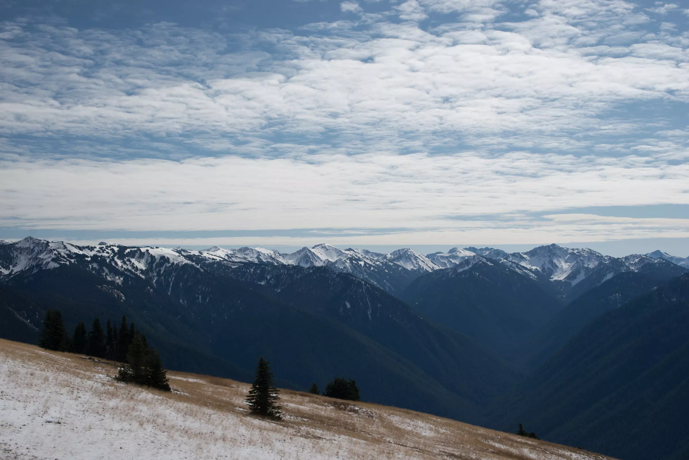 Hurricane Riggs - Olympic National Park - Góra w otoczeniu gór :)