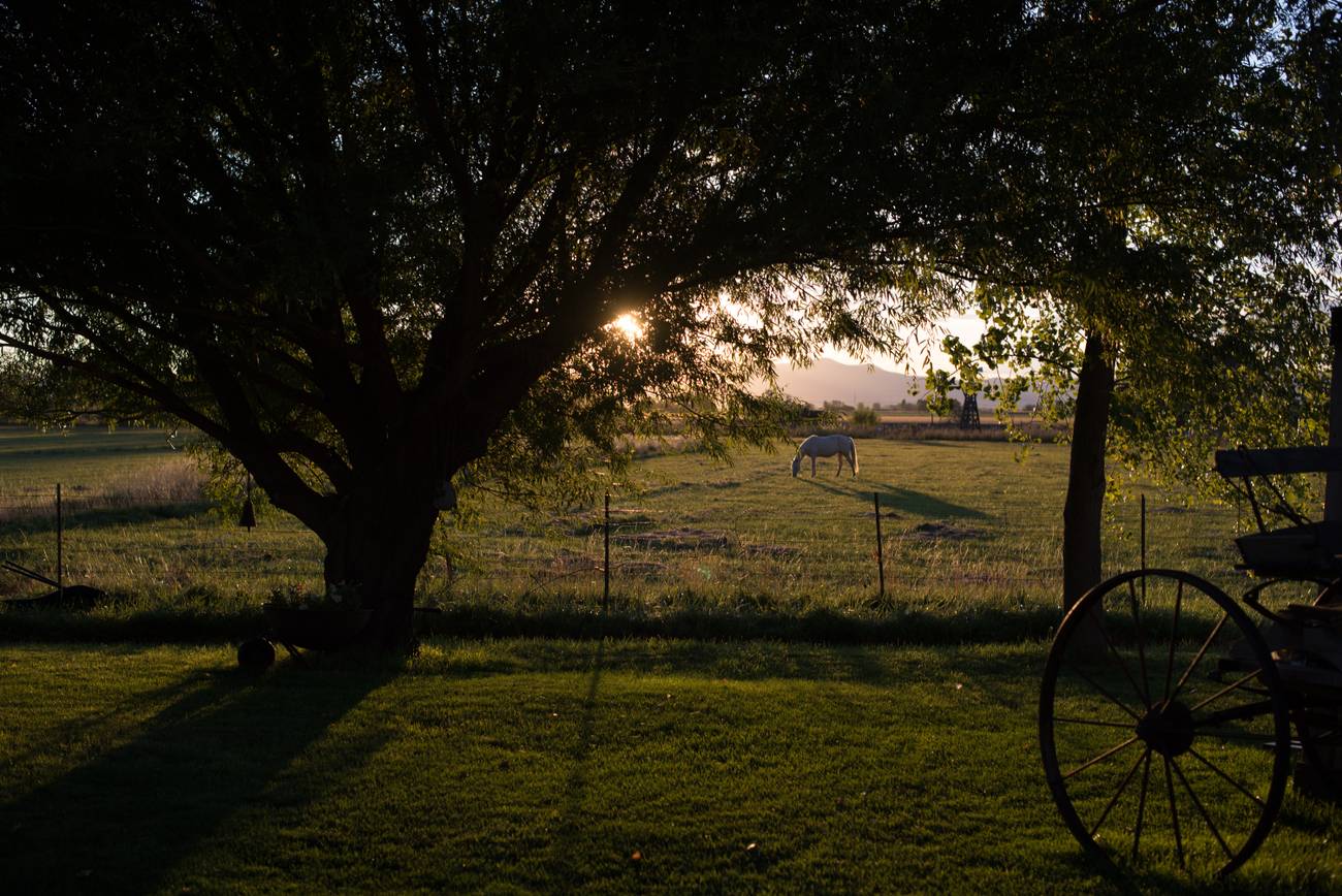 Tremonton - sielankowy widok. Zachód Słońca, biały rumak i wóz